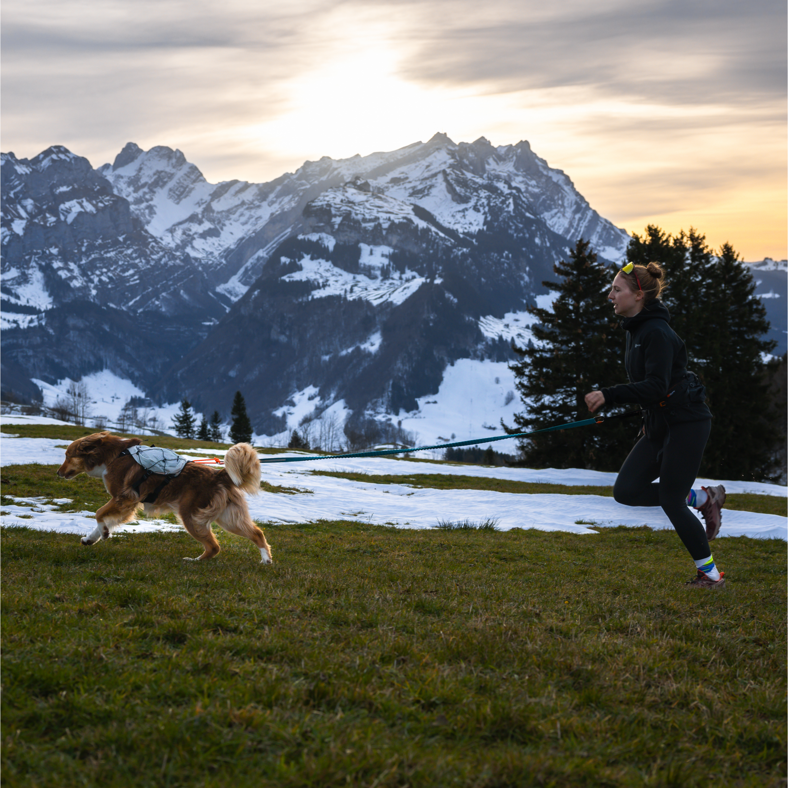 Non-Stop Dogwear Trail Light Dog Backpack Lett Kløv Non-Stop Dogwear Trail Light Dog Backpack Lett Kløv