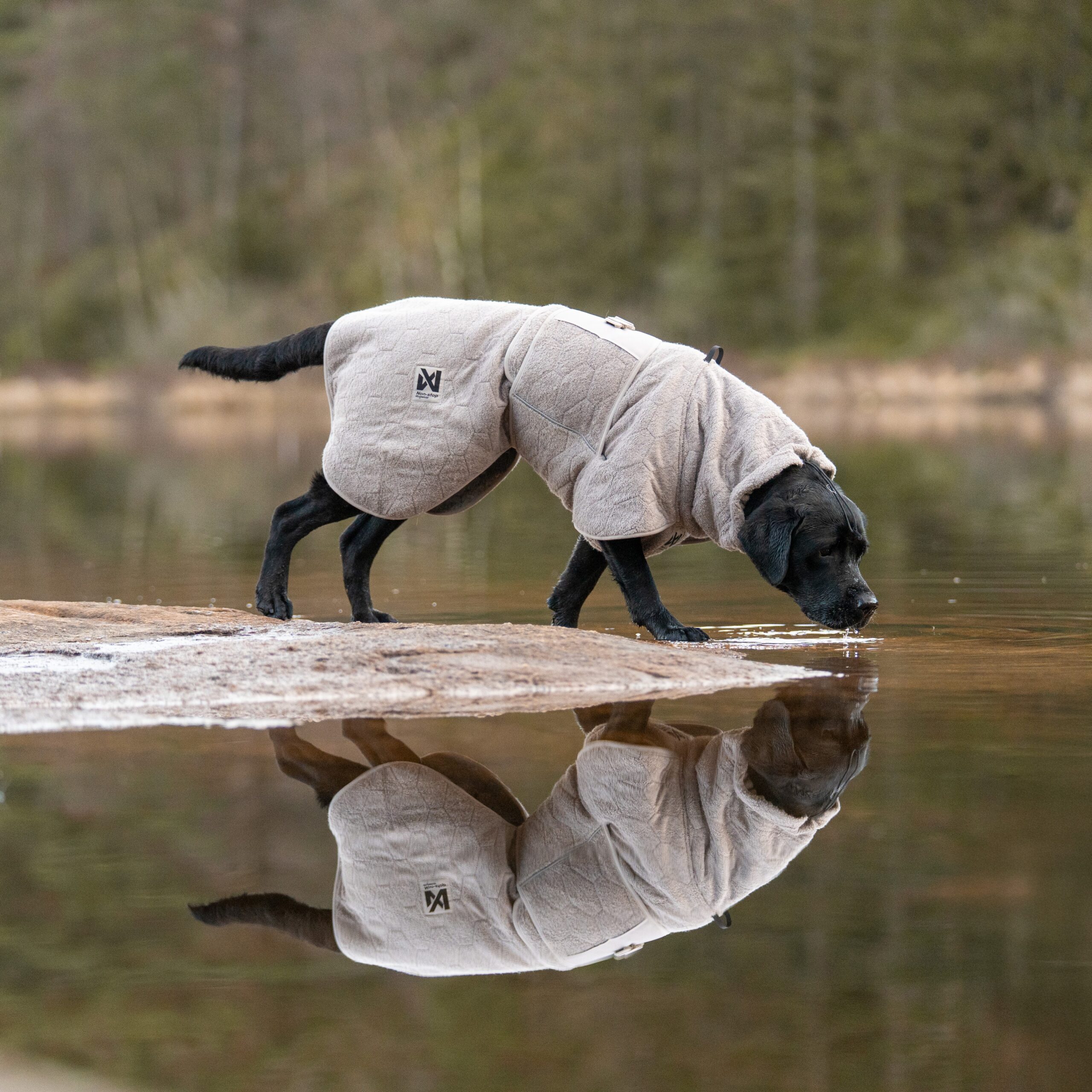 Non-Stop Dogwear Drying Coat Tørkedekken til hund