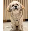 Ozami hundesele Air-mesh (mange farger) Ozami hundesele Air-mesh (mange farger)