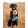 Ozami Play-n-Tug Hundeleke Fuskepels Ball Unicorn Ozami Play-n-Tug Hundeleke Fuskepels Ball Unicorn