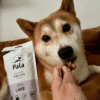 Pala hundeGodbiter Lam Pala hundeGodbiter Lam