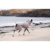 Non-Stop Dogwear Drying Coat Tørkedekken til hund Non-Stop Dogwear Drying Coat Tørkedekken til hund
