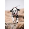 Non-Stop Dogwear Drying Coat Tørkedekken til hund Non-Stop Dogwear Drying Coat Tørkedekken til hund