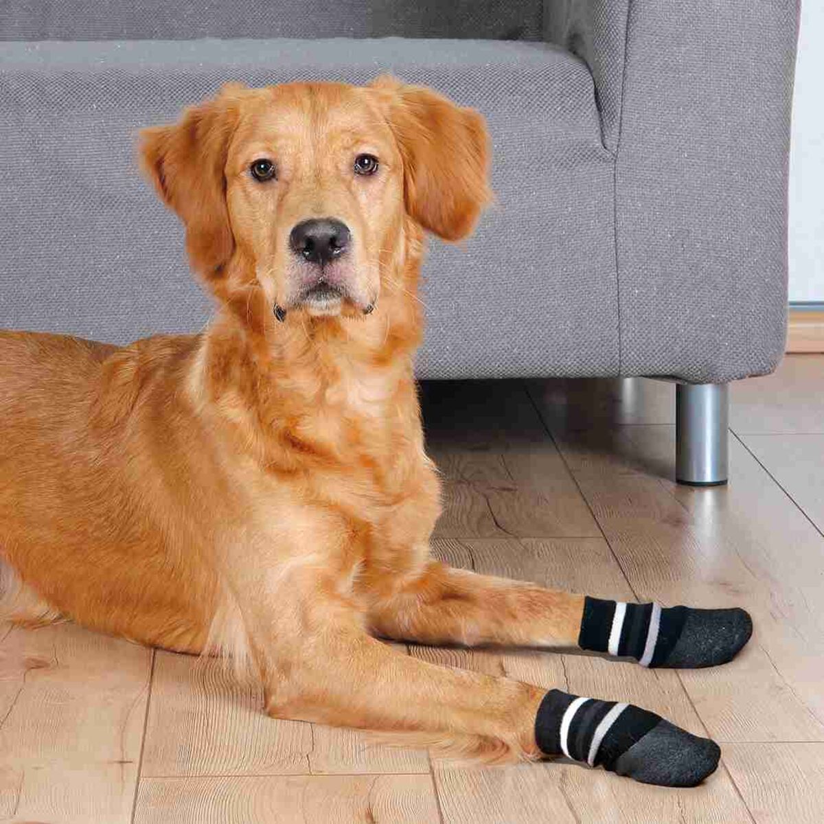 Trixie Hundesokker med antiskli