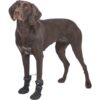 Hundesokk Walker Active Long Protective Hundesokk Walker Active Long Protective
