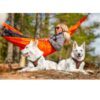 Non-Stop Dogwear Rock Harness - Polstret og Pustende Hundesele Non-Stop Dogwear Rock Harness - Polstret og Pustende Hundesele