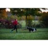 Non-Stop Dogwear Rush Belt Hundeturbelte Non-Stop Dogwear Rush Belt Hundeturbelte