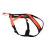 NonStop Rush harness NonStop Rush harness
