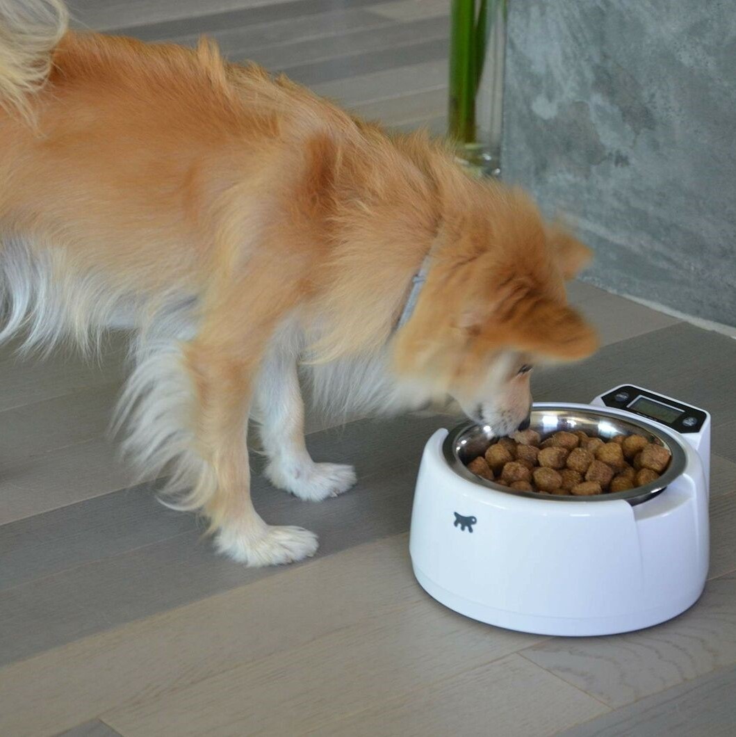 Ferplast Matskål med vekt til katt og hund