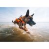 Non-Stop Dogwear Safe Life Jacket 2.0 Flytevest Svømmevest Hund Non-Stop Dogwear Safe Life Jacket 2.0 Flytevest Svømmevest Hund
