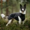 Sidney ulldekken i merinoull – for korthårede hunder Sidney ulldekken i merinoull – for korthårede hunder