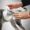 Simple Solution Engangsbleie Magebånd Hannhund Simple Solution Engangsbleie Magebånd Hannhund