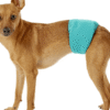 Simple Solution Magebånd Hannhund Vaskbar Simple Solution Magebånd Hannhund Vaskbar