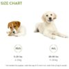 Whimzees Puppy Vegetarisk Tygg Whimzees Puppy Vegetarisk Tygg