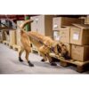 Non-Stop Dogwear Solid Collar WD Hundehalsbånd Non-Stop Dogwear Solid Collar WD Hundehalsbånd