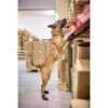 Non-Stop Dogwear Solid Collar WD Hundehalsbånd Non-Stop Dogwear Solid Collar WD Hundehalsbånd