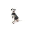 Thundershirt til hund Thundershirt til hund