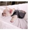 Thundershirt til hund Thundershirt til hund
