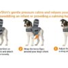 Thundershirt til hund Thundershirt til hund