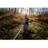 Non-Stop Dogwear Touring Bungee Leash Hundekobbel Strikk Non-Stop Dogwear Touring Bungee Leash Hundekobbel Strikk