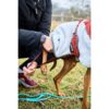 Non-Stop Dogwear Trekking Fleece Dog Jacket Hundedekken Non-Stop Dogwear Trekking Fleece Dog Jacket Hundedekken