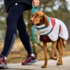 Non-Stop Dogwear Trekking Fleece Dog Jacket Hundedekken Non-Stop Dogwear Trekking Fleece Dog Jacket Hundedekken