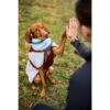 Non-Stop Dogwear Trekking Fleece Dog Jacket Hundedekken Non-Stop Dogwear Trekking Fleece Dog Jacket Hundedekken