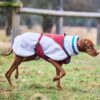 Non-Stop Dogwear Trekking Fleece Dog Jacket Hundedekken Non-Stop Dogwear Trekking Fleece Dog Jacket Hundedekken