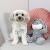 Trixie Be Eco Bunny Evan Trixie Be Eco Bunny Evan