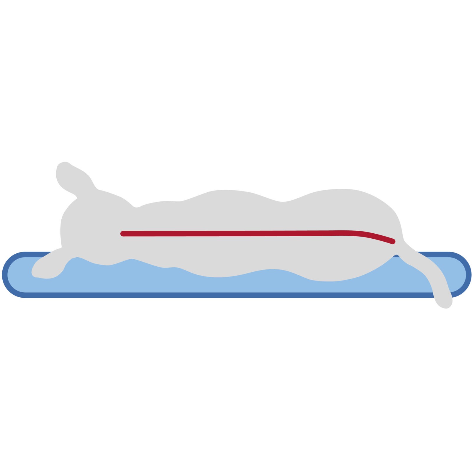Trixie Bendsom Vital Hundepute Firkantet Beige