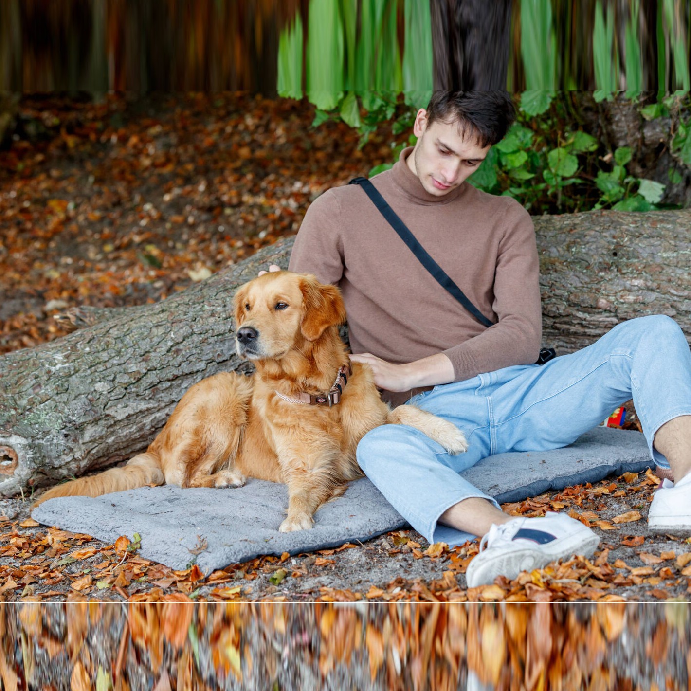 Trixie Bendson Travel Reisematte Liggeunderlag Hund
