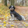 Trixie Brizon 2.0 Vinterjakke til Hund - Varm og Vanntett Trixie Brizon 2.0 Vinterjakke til Hund - Varm og Vanntett