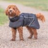 Trixie Brizon 2.0 Vinterjakke til Hund - Varm og Vanntett Trixie Brizon 2.0 Vinterjakke til Hund - Varm og Vanntett