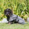 Trixie Badekåpe Tørkedekken Hund Trixie Badekåpe Tørkedekken Hund