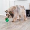 Roly Poly Snack Egg – godbit-leke til hund (vipper og ruller) Roly Poly Snack Egg – godbit-leke til hund (vipper og ruller)