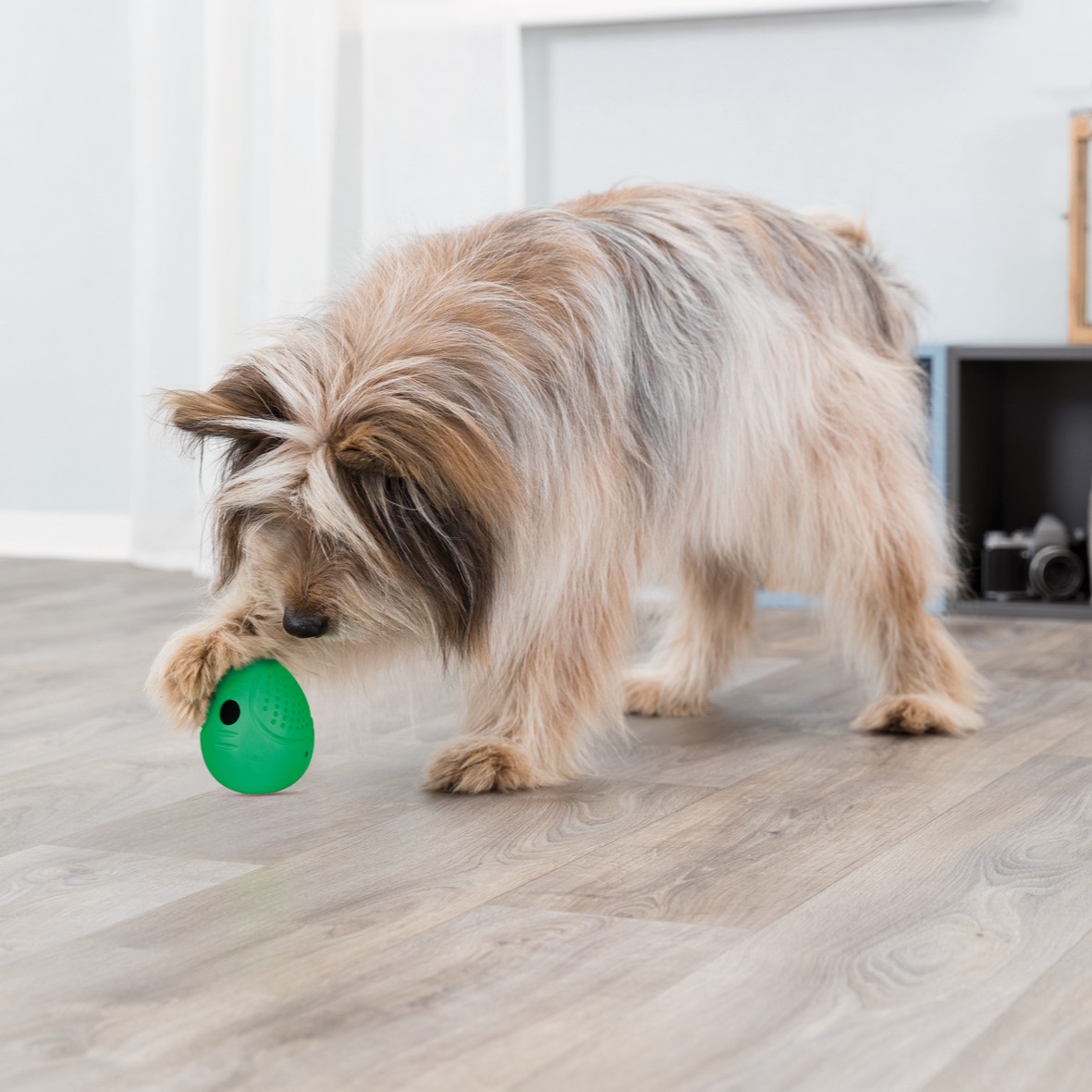 Roly Poly Snack Egg – godbit-leke til hund (vipper og ruller)