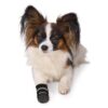 Trixie Walker Care Comfort Hundesko Trixie Walker Care Comfort Hundesko