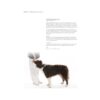 Kruuse Rehab Vektmansjetter Styrketrening Fysioterapi Hund Kruuse Rehab Vektmansjetter Styrketrening Fysioterapi Hund
