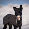 Canelana Touring Aktivitetsdekken Hundedekken Ull Canelana Touring Aktivitetsdekken Hundedekken Ull