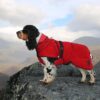Canelana Lana Hundedekken i Ull (Rød) Canelana Lana Hundedekken i Ull (Rød)
