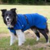 Canelana Lana Hundedekken i Ull (Blå) Canelana Lana Hundedekken i Ull (Blå)