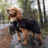 Canelana Cover Vind- / Regndekken Hundedekken Softshell Canelana Cover Vind- / Regndekken Hundedekken Softshell