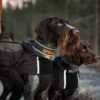 Canelana Touring Aktivitetsdekken Hundedekken Ull Canelana Touring Aktivitetsdekken Hundedekken Ull