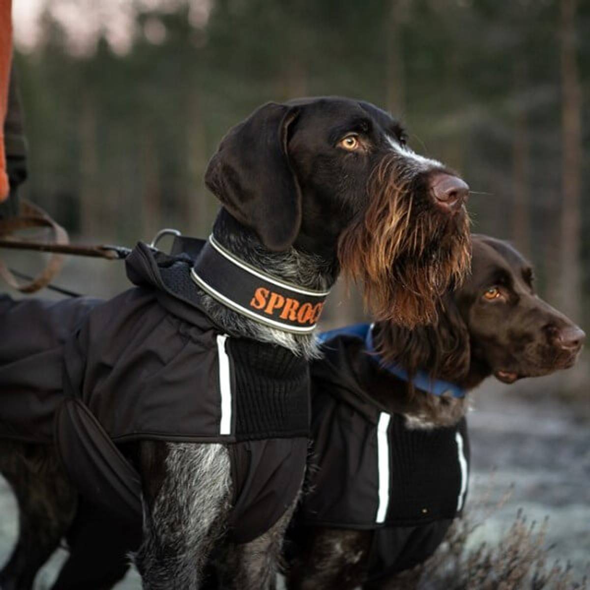 Canelana Touring Aktivitetsdekken Hundedekken Ull