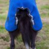 Canelana Lana Hundedekken i Ull (Blå) Canelana Lana Hundedekken i Ull (Blå)