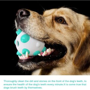 Tannrenseball hund