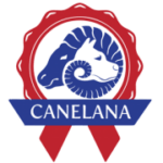 Canelana