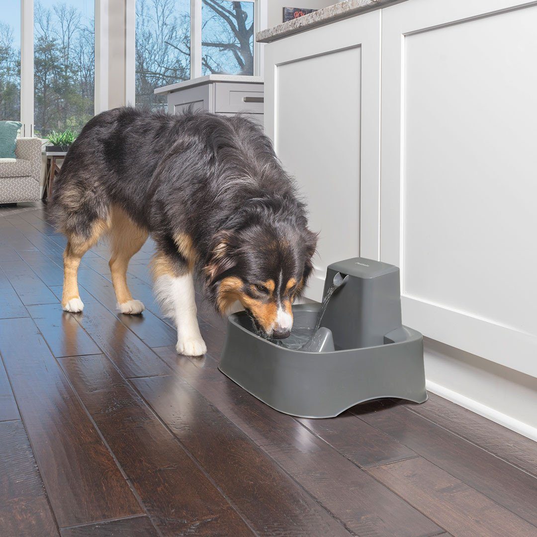 Petsafe drinkwell drikkefontene 7,5L 7,5ltr