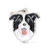 Myfamily Border collie IDtag