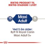 RC Maxi Adult 26 15kg